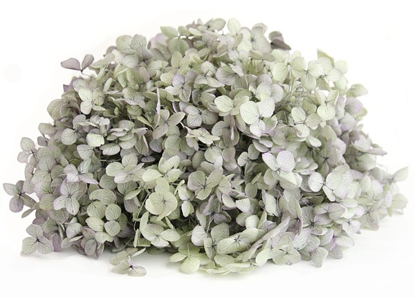 �������� ���ʥ٥뎥�إå�(����ǡ������ù�) ���쥬�Υѡ��ץ�