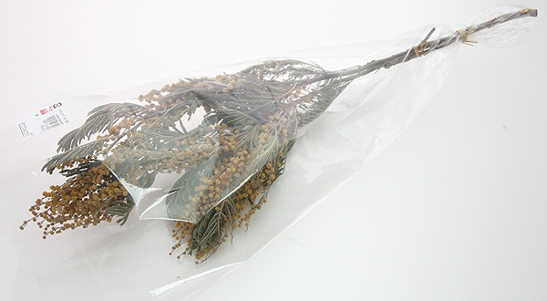 ��Outlet��ON �ߥ⥶ N