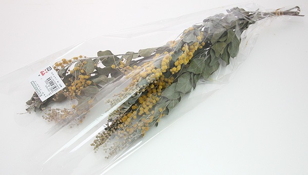 ��Outlet��ON �ߥ⥶���ǥ˥��ܡ��ǥ� N