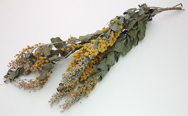 ��Outlet��ON �ߥ⥶���ǥ˥��ܡ��ǥ� N