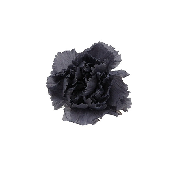 Florever �ߥ˥����͡������(12) ���å��奰�졼