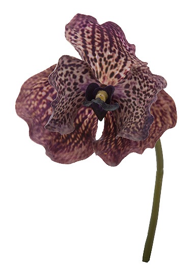 Outlet[PO ArtF] Хåɥԥå ֥饦٥ 