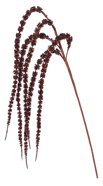 ��Outlet��PO ���쥬��ȥ���å������ޥ�󥵥� BR ��