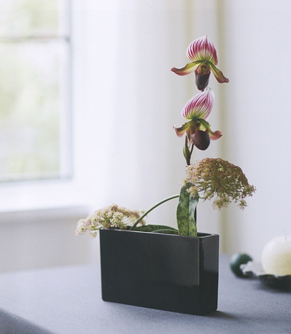 ��Outlet��CL 326-593-800 simplevase rectangle �֥�å�