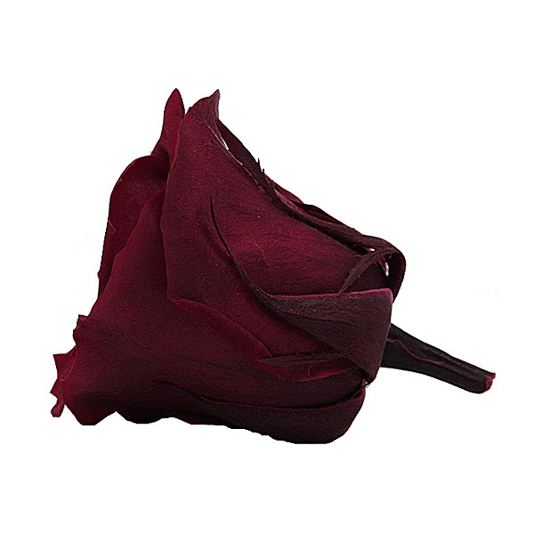 Florever ��ǥ����ʥ�����(8) �磻��