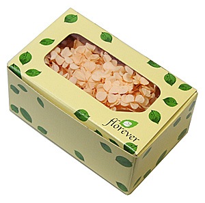 Florever ����ǥ��������������㡼�٥åȥ����