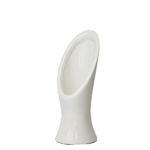 CL 359-001-100 oblique �ۥ磻��