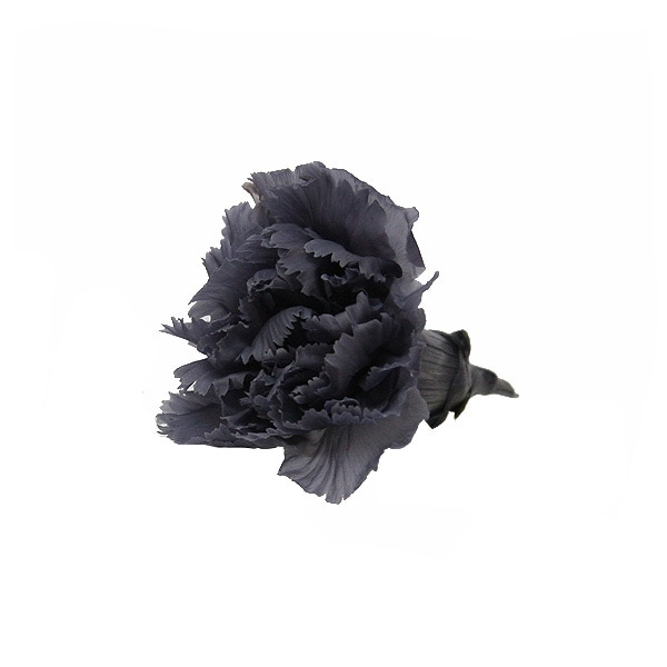 Florever �ߥ˥����͡������(12) ���å��奰�졼