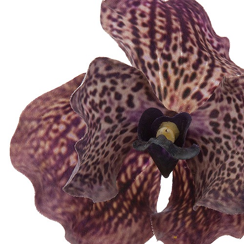 Outlet[PO ArtF] Хåɥԥå ֥饦٥ 