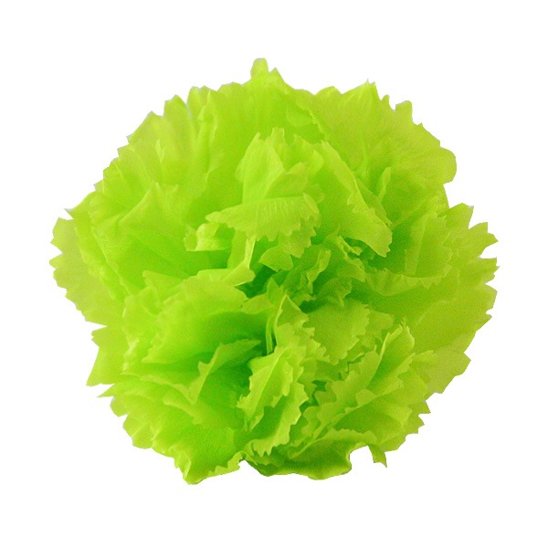 Florever �ߥ˥����͡������(12) ���ץ�å��奰�꡼��