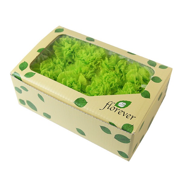 Florever �ߥ˥����͡������(12) ���ץ�å��奰�꡼��