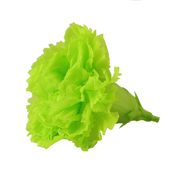 Florever �ߥ˥����͡������(12) ���ץ�å��奰�꡼��