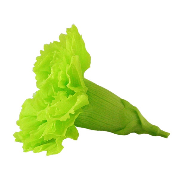 Florever �ߥ˥����͡������(12) ���ץ�å��奰�꡼��