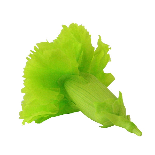 Florever �ߥ˥����͡������(12) ���ץ�å��奰�꡼��