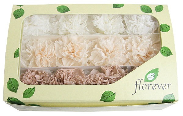 <@needs>ե륨С ߥ˥͡󎥥ꥸʥ륢(4x3) ۥ磻ȷϥߥå