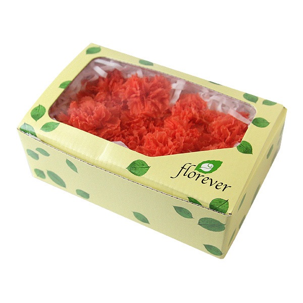 Florever �ߥ˥����͡������(12) �ե�ߥ󥴥����