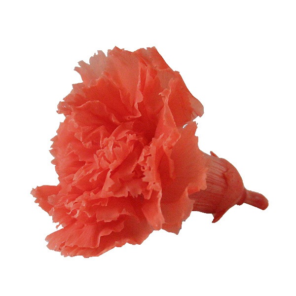 Florever �ߥ˥����͡������(12) �ե�ߥ󥴥����