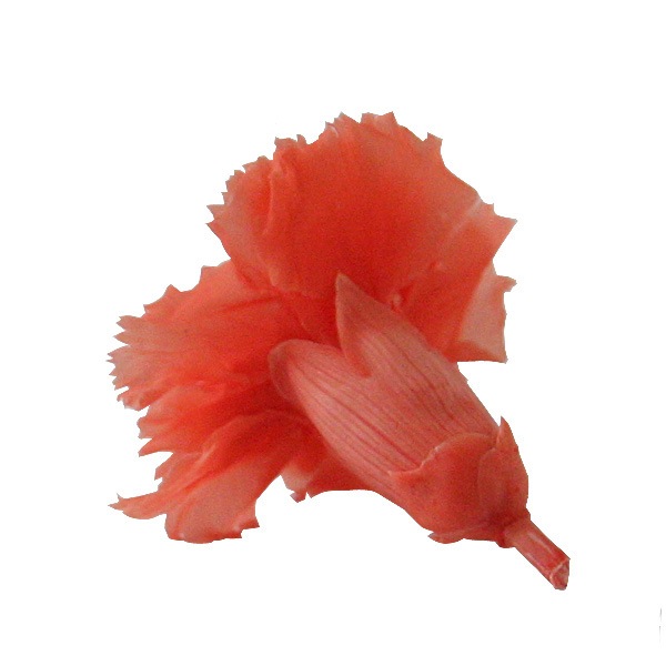 Florever �ߥ˥����͡������(12) �ե�ߥ󥴥����