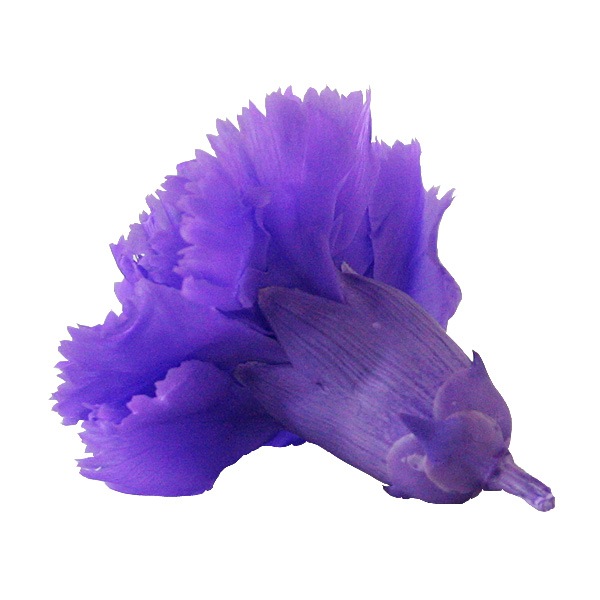 Florever �ߥ˥����͡������(12) ��������Х�����å�