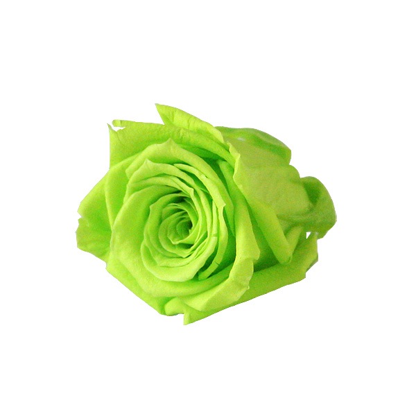 Florever �٥��ӡ�������(12) ���ץ�å��奰�꡼��