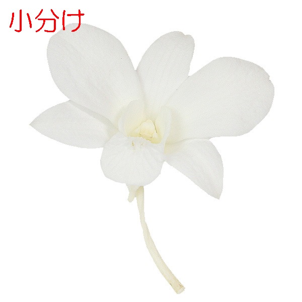 �ھ�ʬ������������ �ǥ�ե���(4) �ԥ奢�ۥ磻��