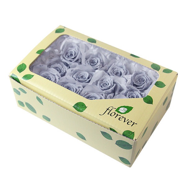 Florever �٥��ӡ�������(12) ���륭�����졼