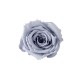 Florever �٥��ӡ�������(12) ���륭�����졼