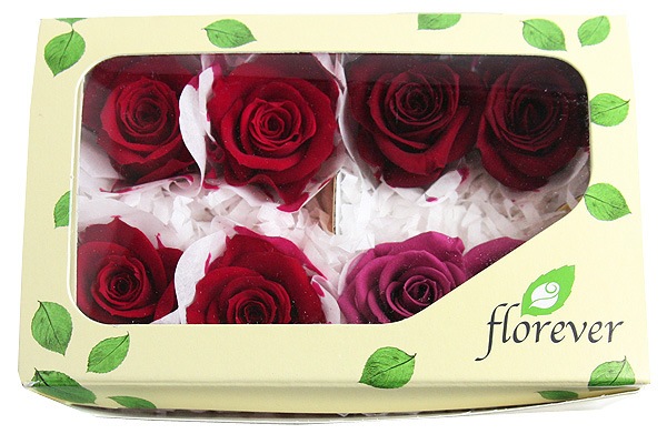 <@needs>�ե����륨�С� ���ץ졼�����������ꥸ�ʥ륢������(2x4) ��åɷϥߥå���