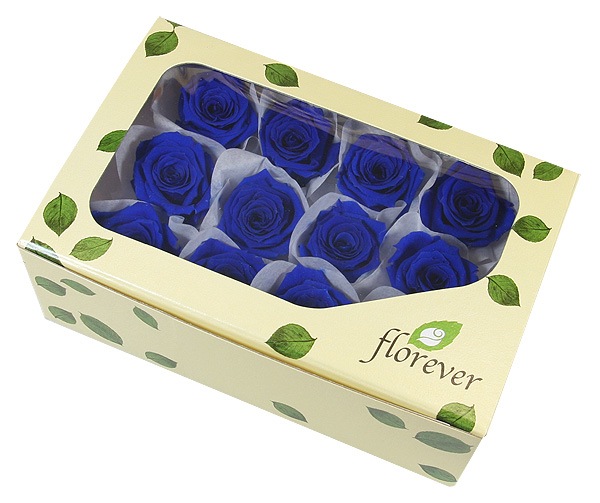 Florever �٥��ӡ�������(12) �����֥롼