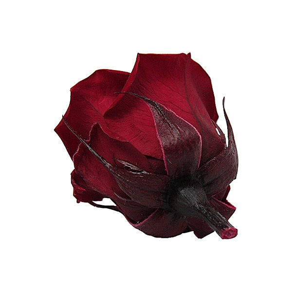 Florever ���ץ졼������(8) �磻��