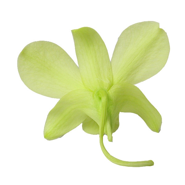 �������� �ǥ�ե���(8) �ե�å��奰�꡼��