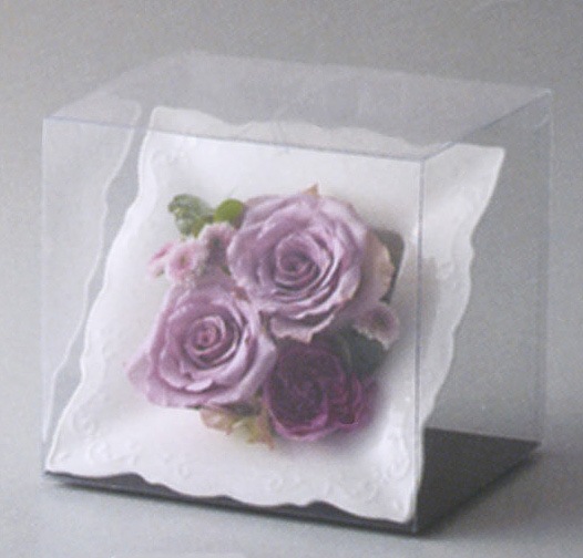 CL 366-104-100 Claire �ۥ磻��