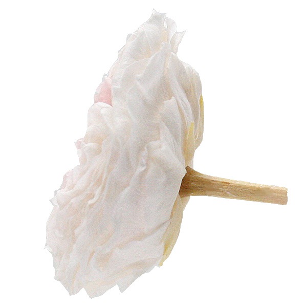 �������� �񻺥����������󥹥ѡ��ƥ���(3) �����ѥ�ԥ�