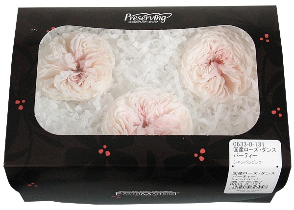 �������� �񻺥����������󥹥ѡ��ƥ���(3) �����ѥ�ԥ�