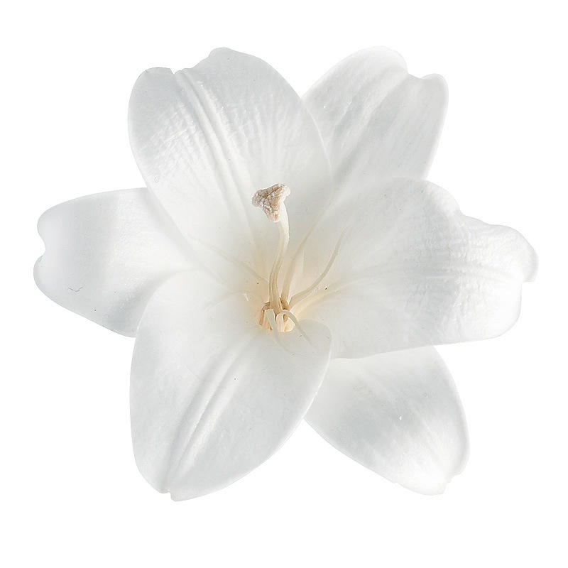 �������� �ץ��ۥ���3�� ��