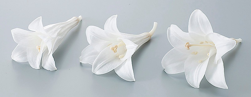 �������� �ץ��ۥ���3�� ��