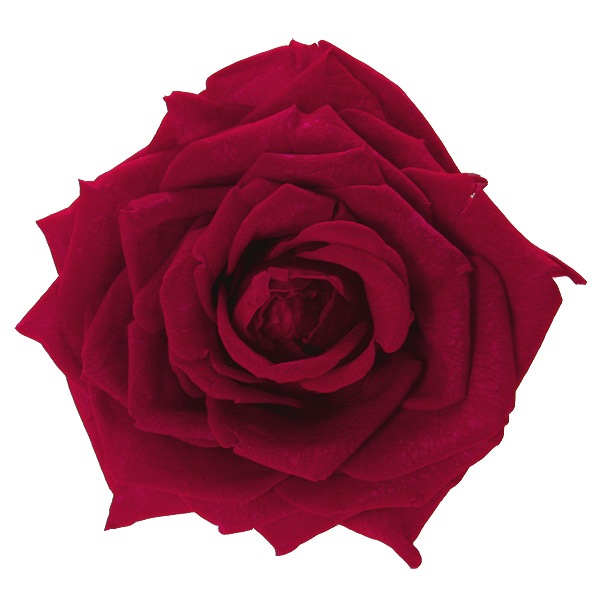 �������� �񻺥����������Х�����(3) ���������å�