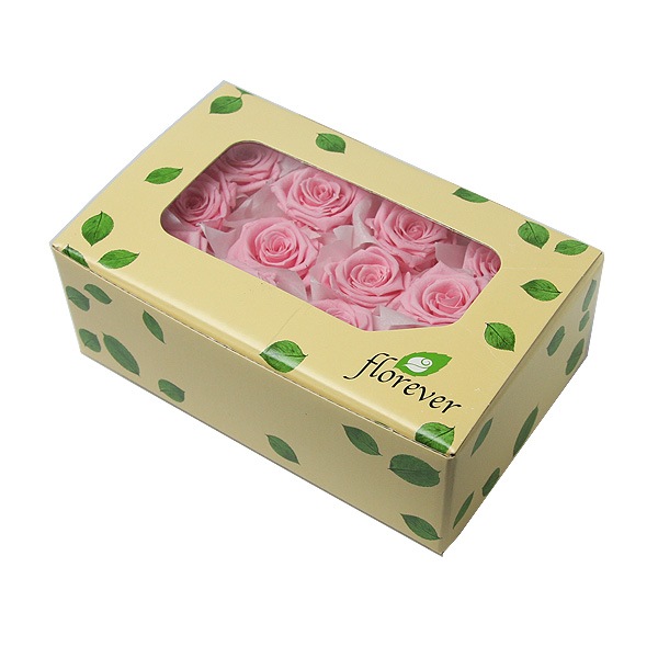 Florever ٥ӡ(12) ٥ӡԥ