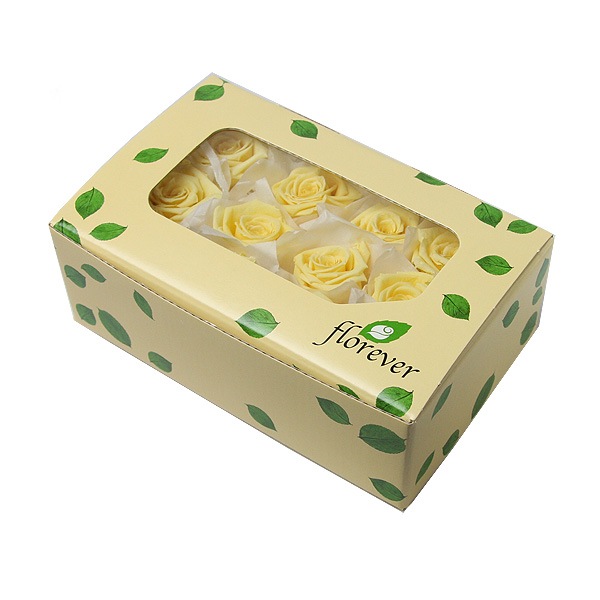 Florever �٥��ӡ�������(12) ���եȥ�������