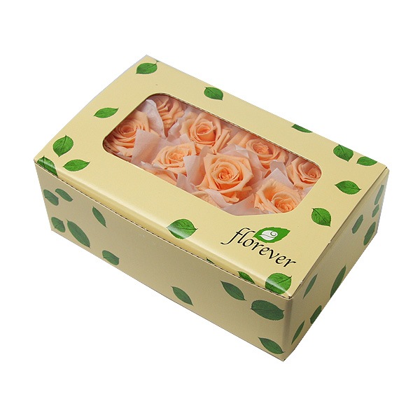 Florever �٥��ӡ�������(12) ���㡼�٥åȥ����