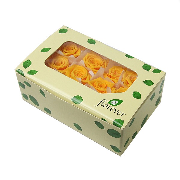 Florever �٥��ӡ�������(12) ������ǥ󥤥�����