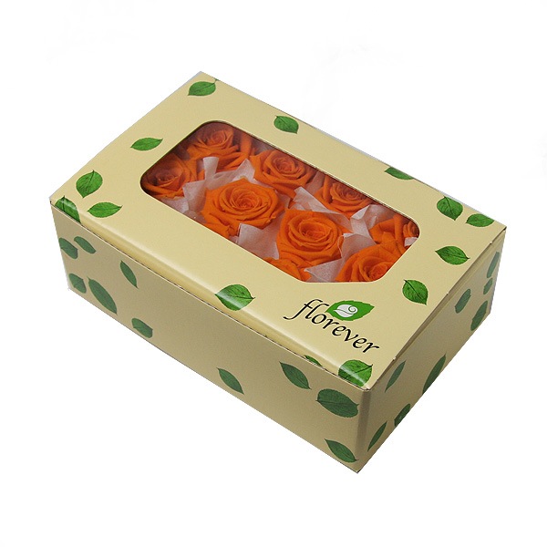 Florever �٥��ӡ�������(12) ���󥸥���󥪥��