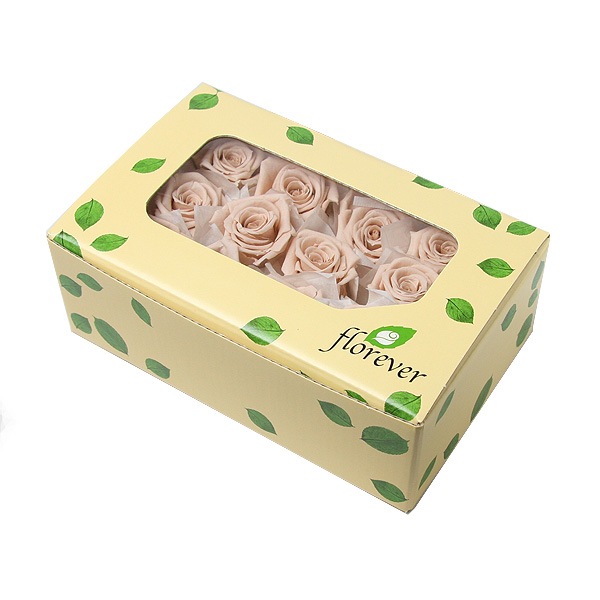 Florever �٥��ӡ�������(12) �̡��ɥԥ�