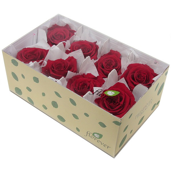 Florever ��ǥ����ʥ�����(8) �����꡼��å�