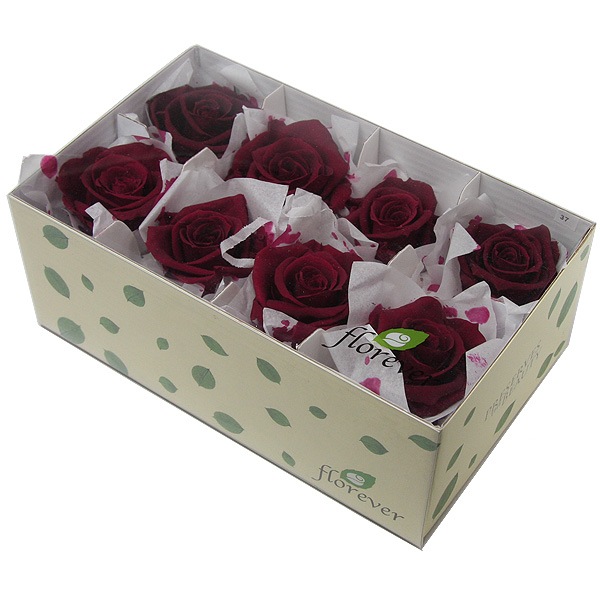 Florever ��ǥ����ʥ�����(8) �磻��