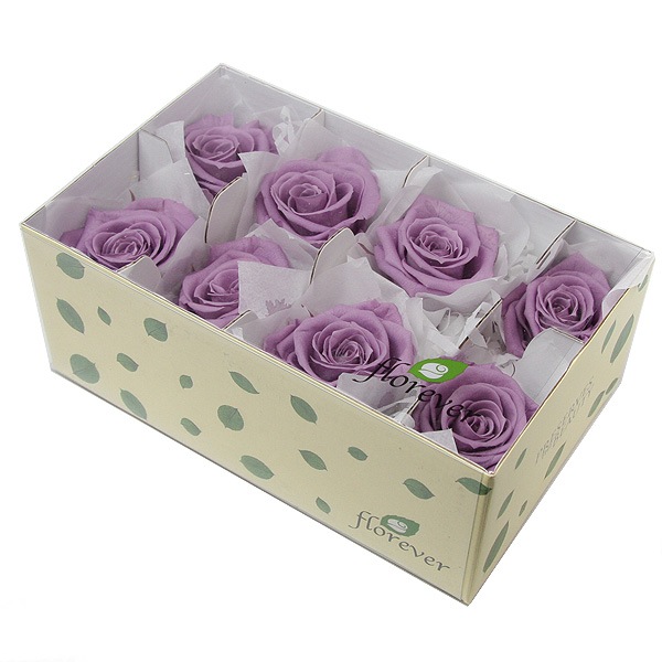 Florever ��ǥ����ʥ�����(8) ��٥����