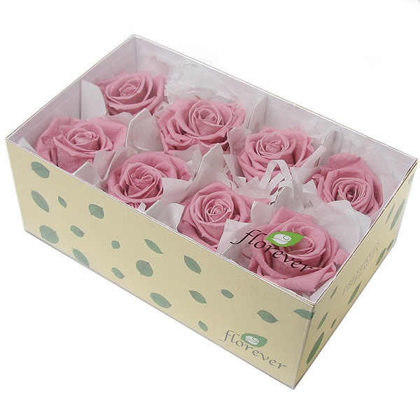 Florever ��ǥ����ʥ�����(8) �����꡼�֥��å���