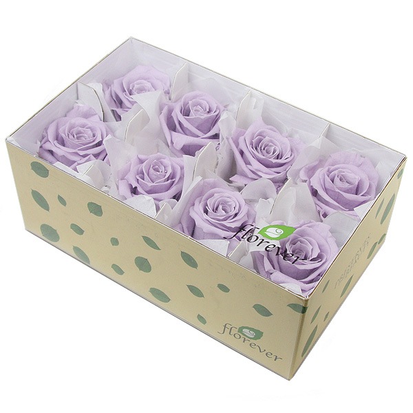 Florever ��ǥ����ʥ�����(8) ���եȥ饤��å�