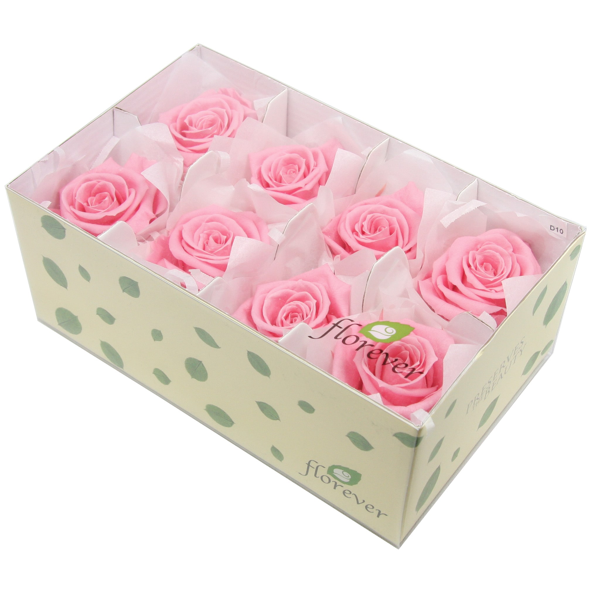 Florever ��ǥ����ʥ�����(8) ���奬���ԥ�