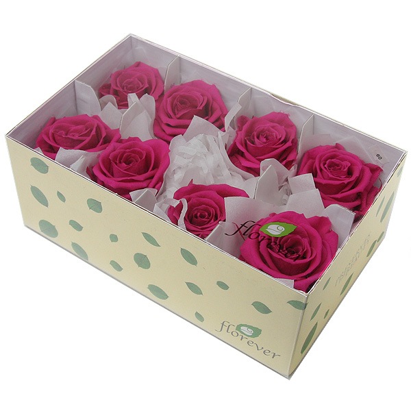 Florever ��ǥ����ʥ�����(8) �ե塼����ԥ�